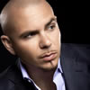 Pitbull 2010 Tour
